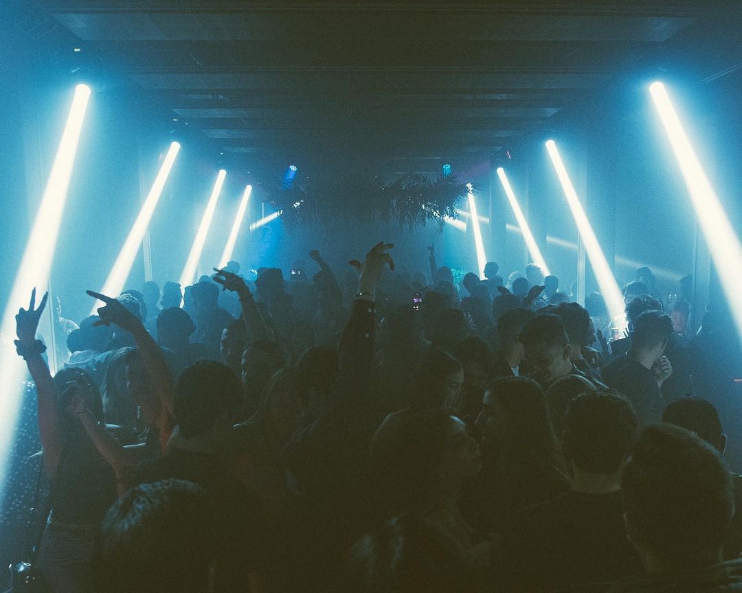 The Toybox at David Finck blog